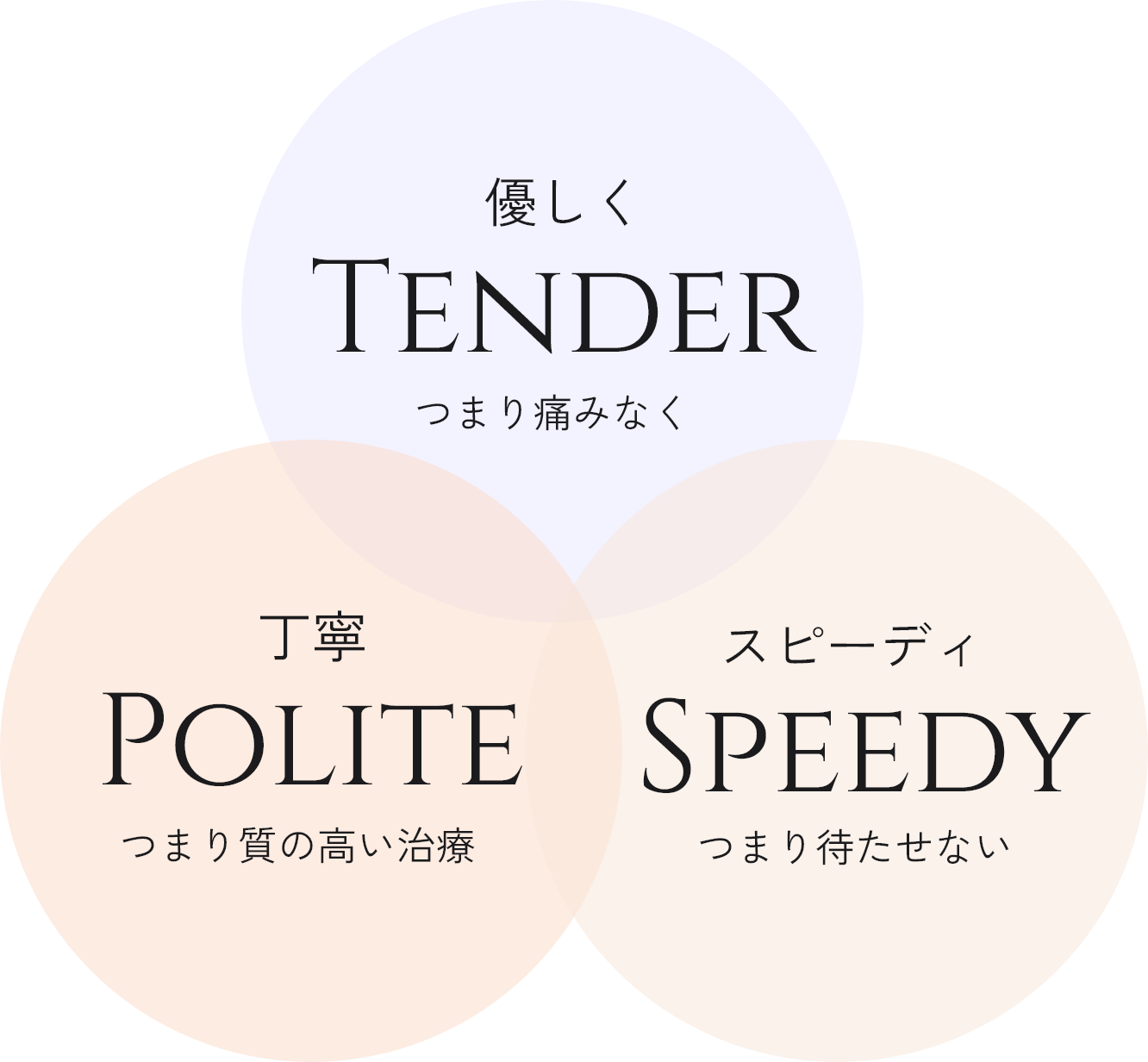 優しく Tender つまり痛みなく　丁寧 Polite つまり質の高い治療　スピーディ Speedy つまり待たせない